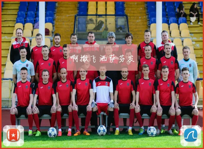 专访英语作文达人:世界杯主题写作如何脱颖而出