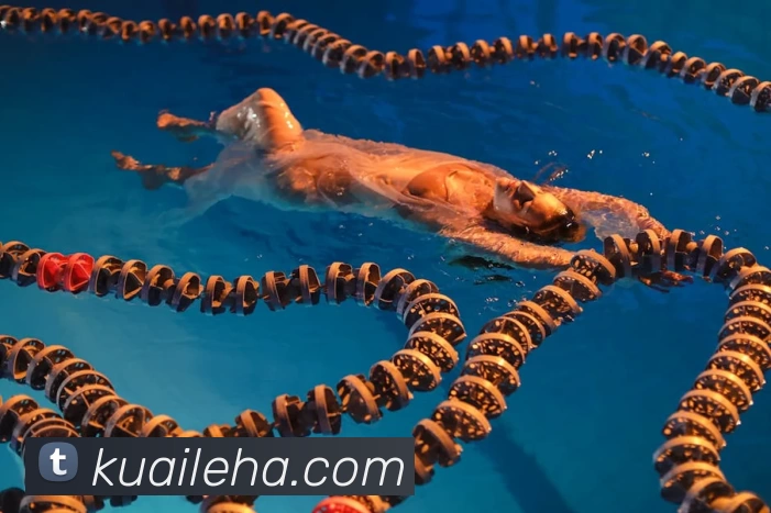 多媒体互动体验